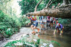 BIB: 
                            <button type="button" onclick="openModal(25474930)" class="btn btn-primary btn-sm float-right btn-popup" data-toggle="modal" data-target=".modal-high-quality">
                        <i class="fas fa-shopping-cart"></i> Add to Cart
                    </button>
                                            <button type="button" onclick="isThisMe(25474930, true)" class="btn btn-success btn-sm float-right btn-popup btn-isme hidden" data-toggle="tooltip" data-placement="bottom" title="นี่คือรูปของคุณใช่ไหม คลิกที่นี่เพื่อเอาเข้าอัลบั้ม">
                        <i class="fas fa-plus"></i> Add to album
                    </button>
                    <button type="button" onclick="isThisMe(25474930, false)" class="btn btn-warning btn-sm float-right btn-popup btn-isnotme hidden">
                        <i class="fas fa-ban"></i> Remove from album
                    </button>